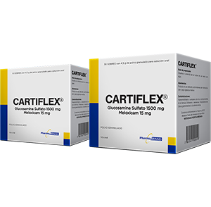 Cartiflex