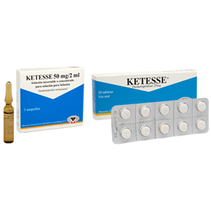 Ketesse