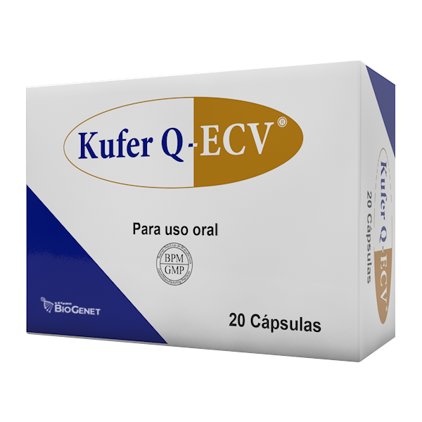 Kufer Q ECV